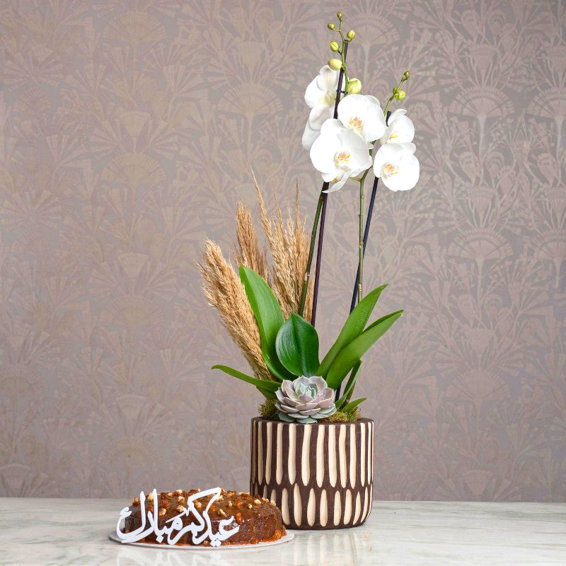 Date Cake with Orchid in Wooden Pot