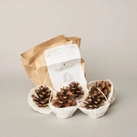 Pinecone Fire Starters